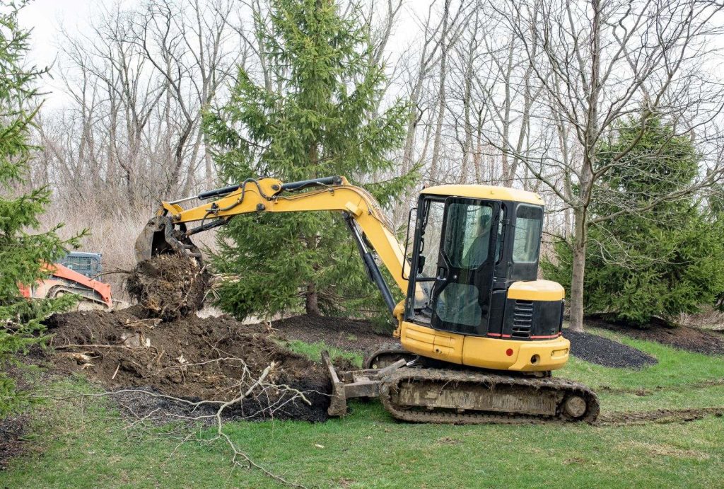 Mini excavator lifting a tree stump and roots out of a grassed yard
